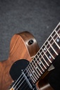 Tipo Telecaster hecha a mano por Olmedo Luthiers