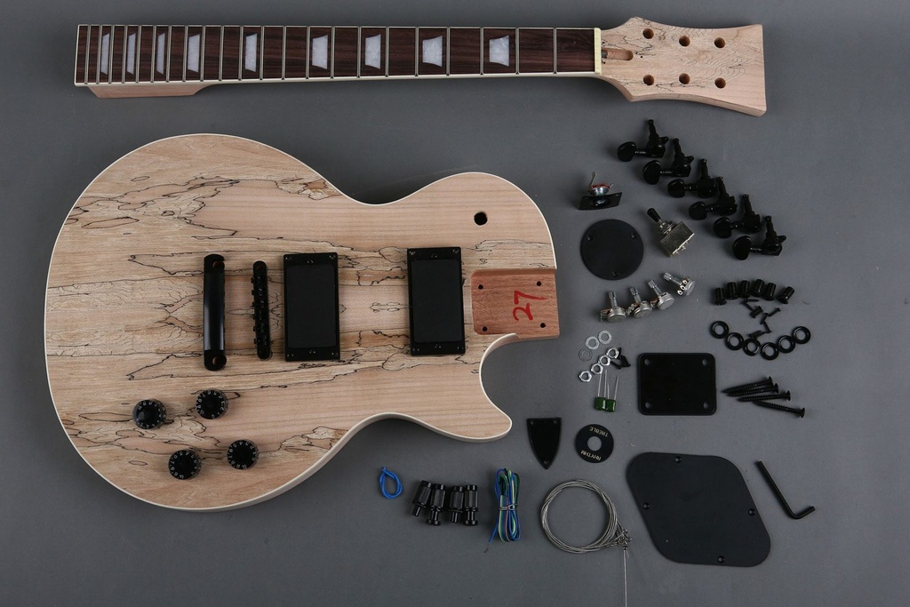 Les Paul Build & Setup Raven Experience