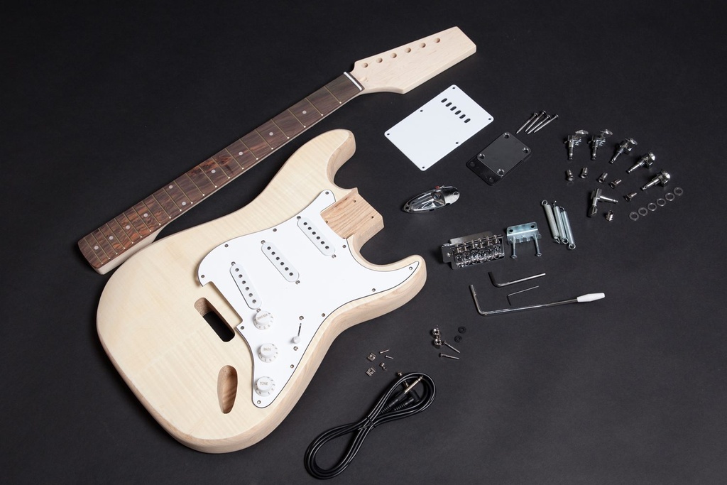 Les Paul Build & Setup Raven Experience