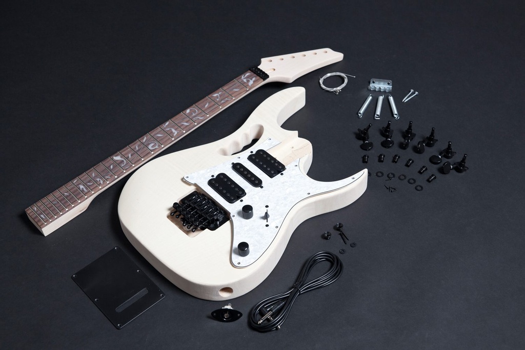 Les Paul Build & Setup Raven Experience