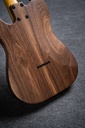 Tipo Telecaster hecha a mano por Olmedo Luthiers
