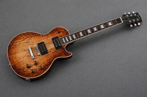 [Experiencia Les Paul] Les Paul Build & Setup Raven Experience