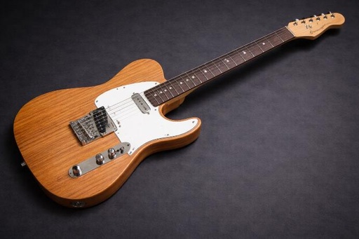 Telecaster Build & Setup Raven Experience